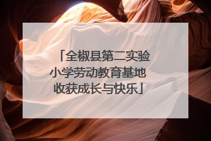 全椒县第二实验小学劳动教育基地收获成长与快乐